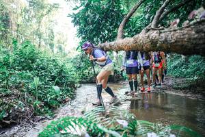 BIB: 
                            <button type="button" onclick="openModal(25464538)" class="btn btn-primary btn-sm float-right btn-popup" data-toggle="modal" data-target=".modal-high-quality">
                        <i class="fas fa-shopping-cart"></i> Add to Cart
                    </button>
                                            <button type="button" onclick="isThisMe(25464538, true)" class="btn btn-success btn-sm float-right btn-popup btn-isme hidden" data-toggle="tooltip" data-placement="bottom" title="นี่คือรูปของคุณใช่ไหม คลิกที่นี่เพื่อเอาเข้าอัลบั้ม">
                        <i class="fas fa-plus"></i> Add to album
                    </button>
                    <button type="button" onclick="isThisMe(25464538, false)" class="btn btn-warning btn-sm float-right btn-popup btn-isnotme hidden">
                        <i class="fas fa-ban"></i> Remove from album
                    </button>